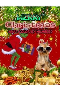 Merry Christmas Adult Color By Numbers