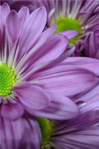 Flower Notebook