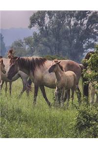 Horses Graph Paper Book