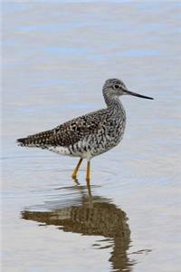 Greater Yellowlegs (Tringa Melanoleuca) Wading Bird Journal