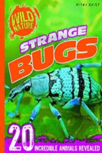 Wild Nature: Strange Bugs