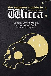 The Beginner's Guide to Wicca