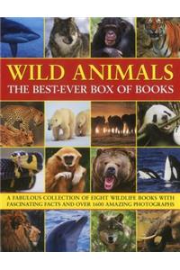 Wild Animals Best Ever Box of Books