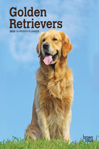 Golden Retrievers 2023 Engagement