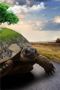 Reptile Notebook