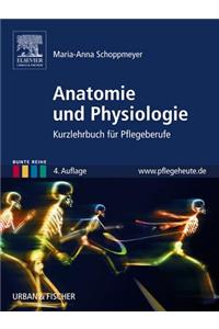 Anatomie Und Physiologie