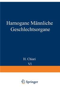 Harnorgane Männliche Geschlechtsorgane