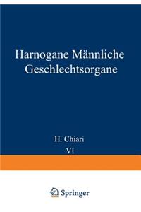 Harnorgane Männliche Geschlechtsorgane