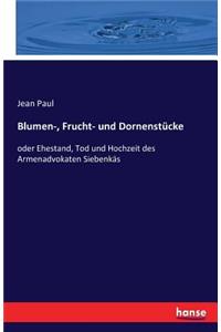 Blumen-, Frucht- und Dornenstücke: oder Ehestand, Tod und Hochzeit des Armenadvokaten Siebenkäs