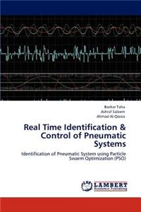 Real Time Identification & Control of Pneumatic Systems