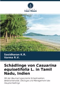 Schädlinge von Casuarina equisetifolia L. in Tamil Nadu, Indien
