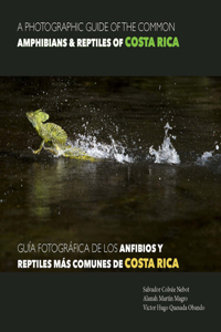 A Photographic Guide of the Common Amphibians & Reptiles of Costa Rica/ Guía Fotográfica de Los Anfibios Y Reptiles Más Comunes de Costa Rica