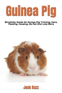 Guinea Pig