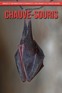 Chauve-Souris