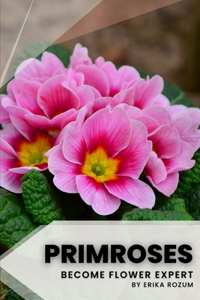 Primroses