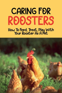Caring For Roosters