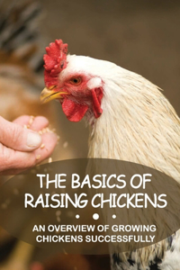 Basics Of Raising Chickens