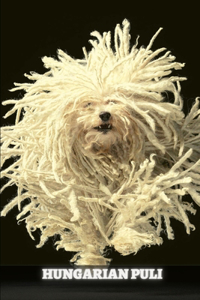 Hungarian Puli