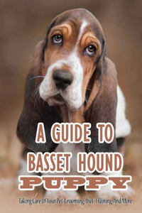 A Guide To Basset Hound Puppy