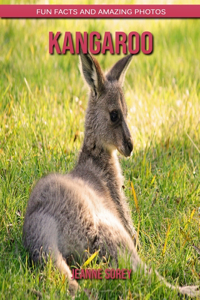 Kangaroo