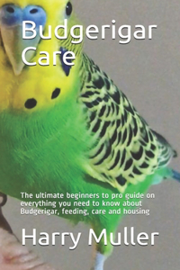 Budgerigar Care