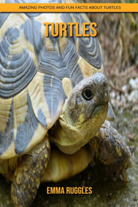 Turtles