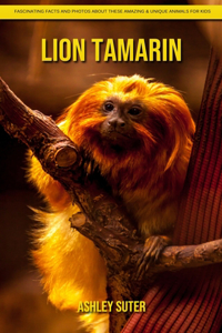 Lion Tamarin