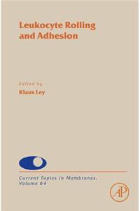 Leukocyte Adhesion