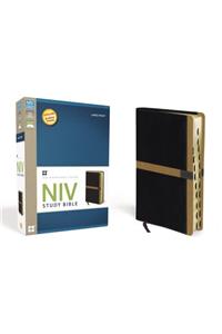 Study Bible-NIV-Large Print