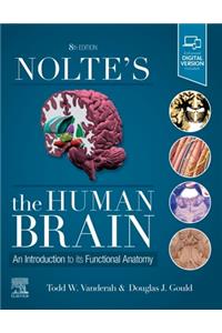 Nolte's the Human Brain