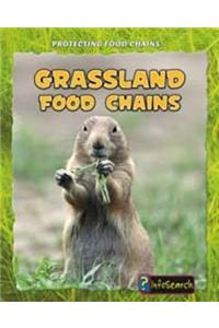 Grassland Food Chains