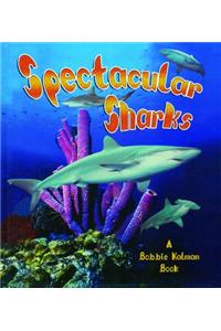 Spectacular Sharks