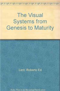 Visual System from Genesis to Maturity