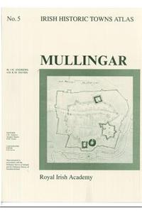 Irish Historic Towns Atlas No. 5, 5