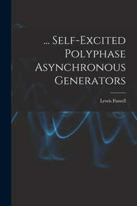 ... Self-Excited Polyphase Asynchronous Generators