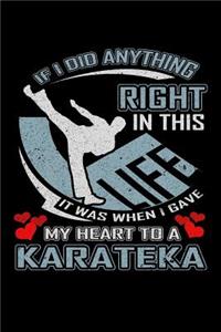 If I Did Anything Right in This Life It Was When I Gave My Heart to a Karateka