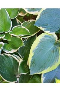 School Composition Book Hosta Garden