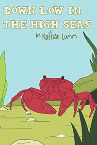 Down Low in the High Seas
