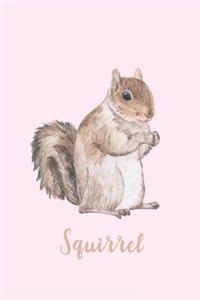 Squirrel