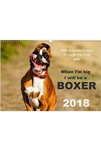 When I'm Big I Will be a Boxer / UK-Version 2018