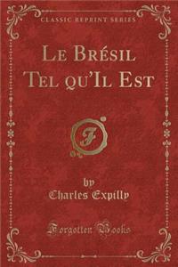 Le Brï¿½sil Tel Qu'il Est (Classic Reprint)