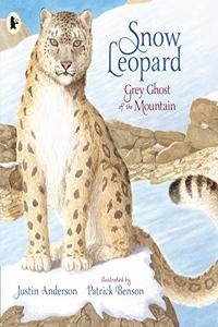 Snow Leopard: Grey Ghost of the Mountain