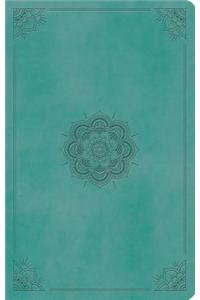 ESV Large Print Value Thinline Bible