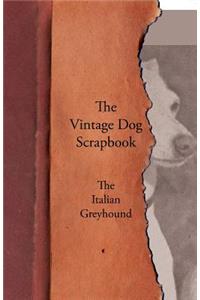 Vintage Dog Scrapbook - The Italian Greyhound