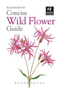 Concise Wild Flower Guide