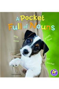 A Pocket Full of Nouns