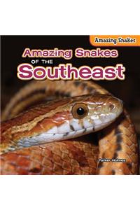 Amazing Snakes of the Southeast