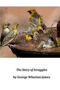 The Story of Scraggles