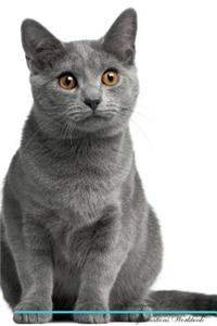 Chartreux Cat Affirmations Workbook Chartreux Cat Presents