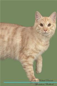 Kurilian Bobtail Affirmations Workbook Kurilian Bobtail Presents